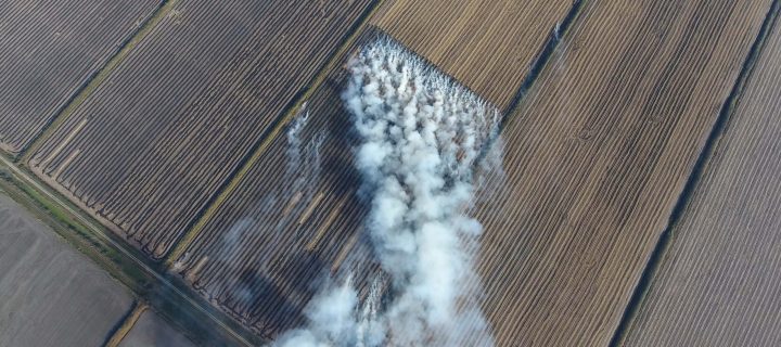 Une thèse pour valoriser la paille de riz